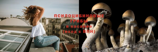 стафф Абинск