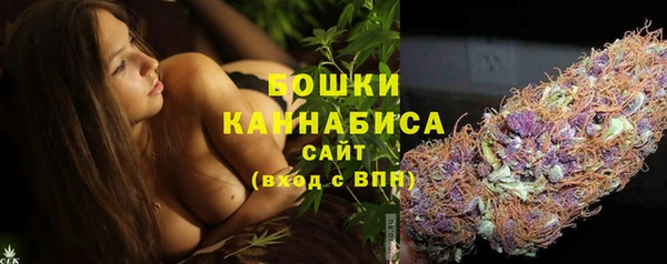 прущие крисы Новодвинск