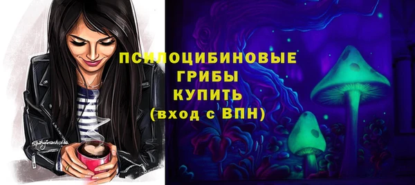 прущие крисы Новодвинск