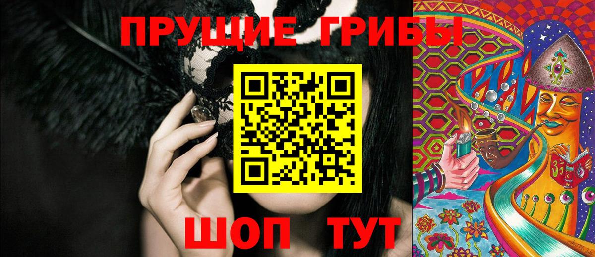 Псков  Псилоцибиновые грибы мицелий  Псилоцибиновые грибы ЛСД  Вход с VPN 