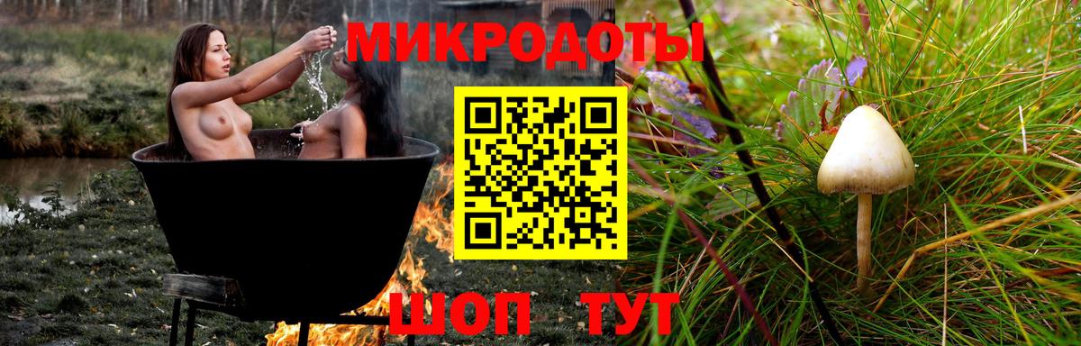 Галлюциногенные грибы MAGIC MUSHROOMS Псков